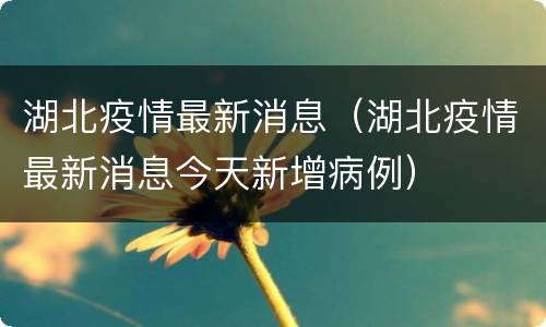 湖北疫情最新消息（湖北疫情最新消息今天新增病例）