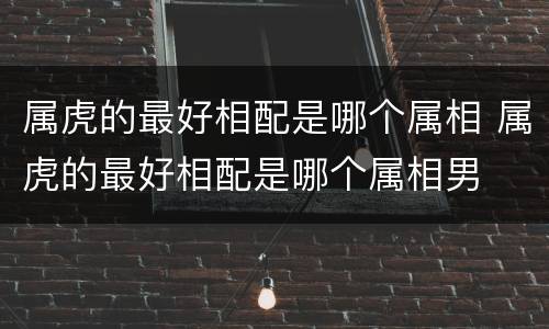 属虎的最好相配是哪个属相 属虎的最好相配是哪个属相男