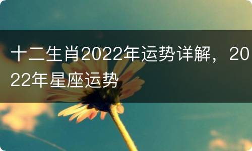 十二生肖2022年运势详解，2022年星座运势
