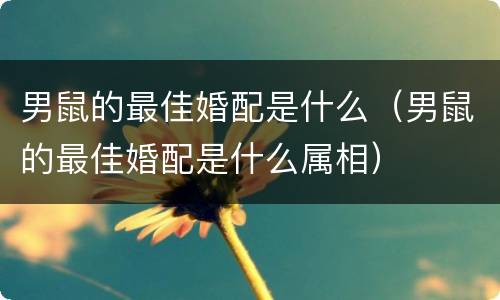 男鼠的最佳婚配是什么（男鼠的最佳婚配是什么属相）