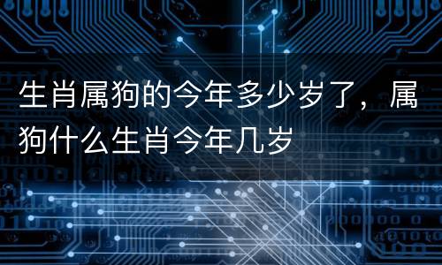 生肖属狗的今年多少岁了，属狗什么生肖今年几岁