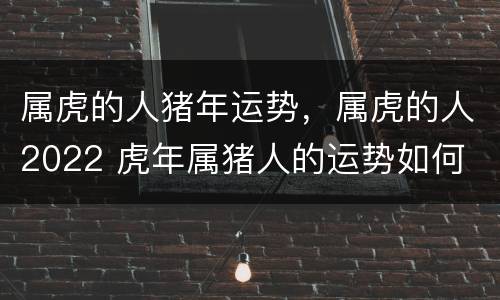 属虎的人猪年运势，属虎的人2022 虎年属猪人的运势如何