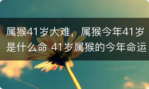 属猴41岁大难，属猴今年41岁是什么命 41岁属猴的今年命运怎么样