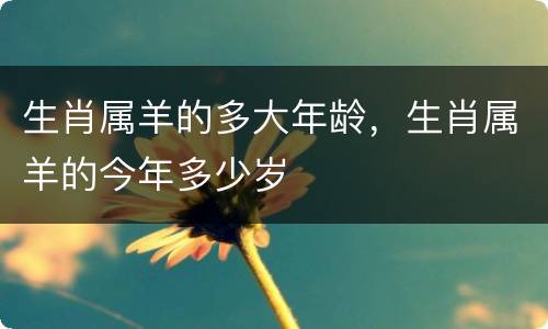 生肖属羊的多大年龄，生肖属羊的今年多少岁