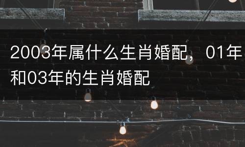 2003年属什么生肖婚配，01年和03年的生肖婚配