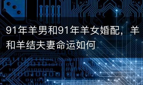91年羊男和91年羊女婚配，羊和羊结夫妻命运如何