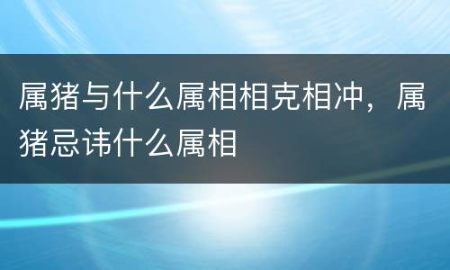 属猪与什么属相相克相冲，属猪忌讳什么属相