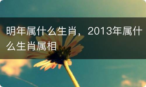 明年属什么生肖，2013年属什么生肖属相