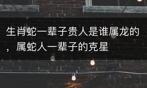 生肖蛇一辈子贵人是谁属龙的，属蛇人一辈子的克星
