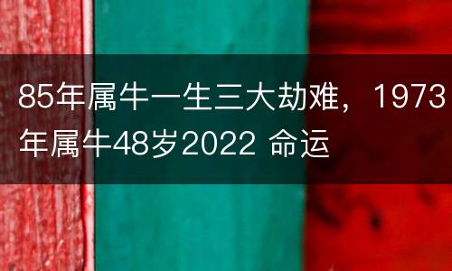 85年属牛一生三大劫难，1973年属牛48岁2022 命运