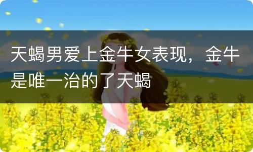 天蝎男爱上金牛女表现，金牛是唯一治的了天蝎