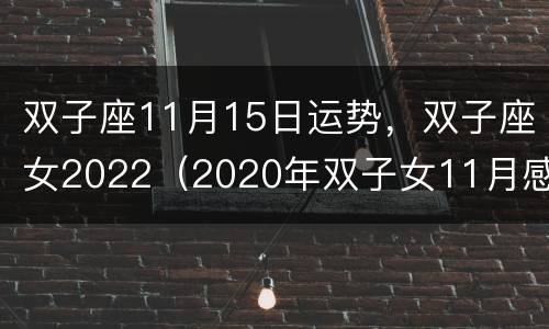 双子座11月15日运势，双子座女2022（2020年双子女11月感情运势）