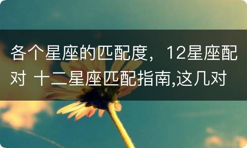 各个星座的匹配度，12星座配对 十二星座匹配指南,这几对星座相当般配