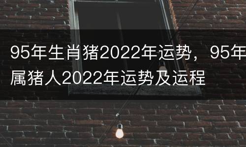 95年生肖猪2022年运势，95年属猪人2022年运势及运程