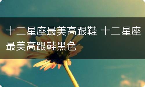 十二星座最美高跟鞋 十二星座最美高跟鞋黑色