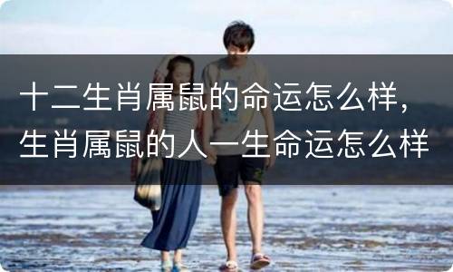 十二生肖属鼠的命运怎么样，生肖属鼠的人一生命运怎么样