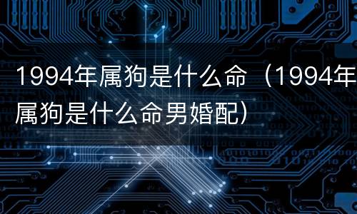 1994年属狗是什么命（1994年属狗是什么命男婚配）