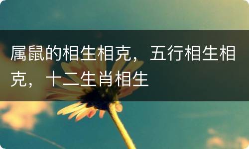 属鼠的相生相克，五行相生相克，十二生肖相生