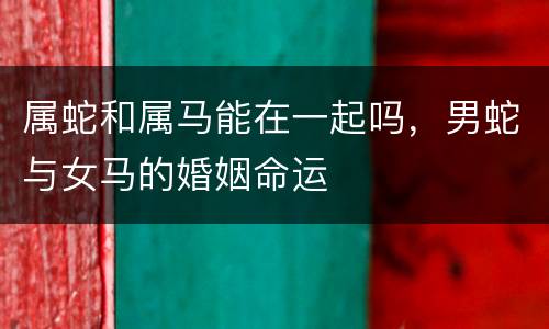 属蛇和属马能在一起吗，男蛇与女马的婚姻命运
