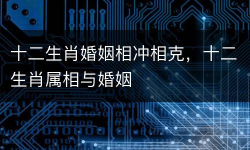 十二生肖婚姻相冲相克，十二生肖属相与婚姻