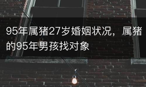 95年属猪27岁婚姻状况，属猪的95年男孩找对象