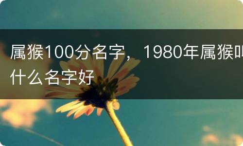 属猴100分名字，1980年属猴叫什么名字好