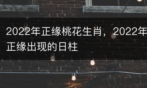 2022年正缘桃花生肖，2022年正缘出现的日柱