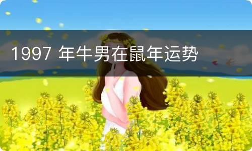 1997 年牛男在鼠年运势