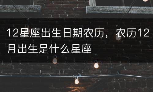 12星座出生日期农历，农历12月出生是什么星座