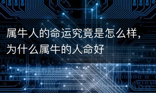 属牛人的命运究竟是怎么样，为什么属牛的人命好