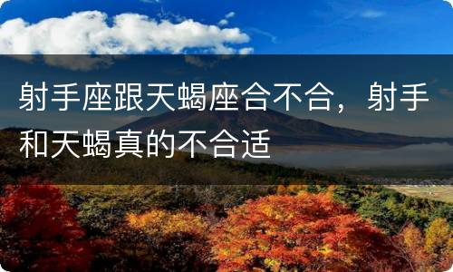 射手座跟天蝎座合不合，射手和天蝎真的不合适