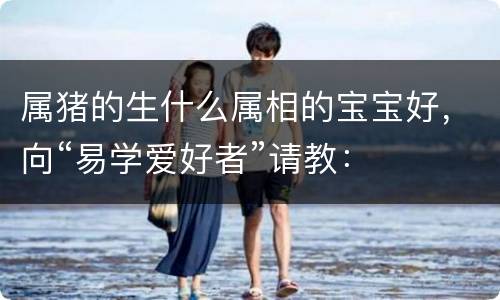 属猪的生什么属相的宝宝好，向“易学爱好者”请教：