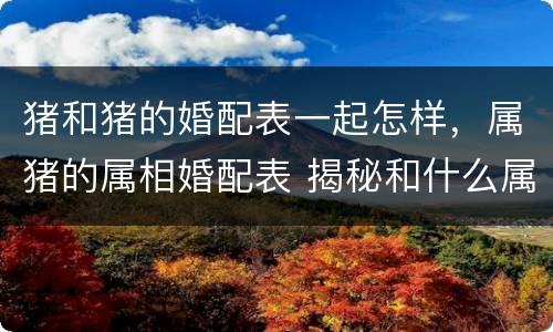 猪和猪的婚配表一起怎样，属猪的属相婚配表 揭秘和什么属相最配