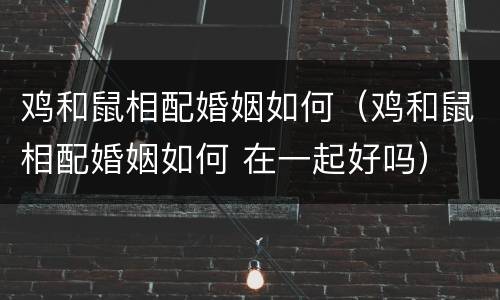 鸡和鼠相配婚姻如何（鸡和鼠相配婚姻如何 在一起好吗）