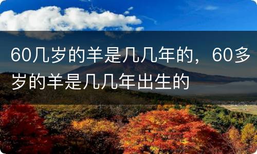 60几岁的羊是几几年的，60多岁的羊是几几年出生的