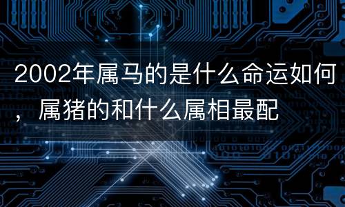 2002年属马的是什么命运如何，属猪的和什么属相最配