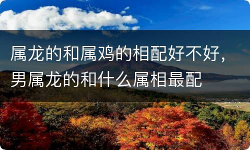 属龙的和属鸡的相配好不好，男属龙的和什么属相最配