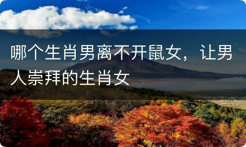 哪个生肖男离不开鼠女，让男人崇拜的生肖女