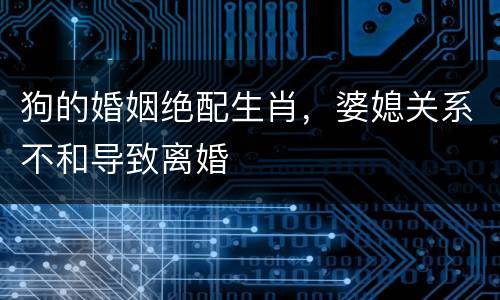 狗的婚姻绝配生肖，婆媳关系不和导致离婚