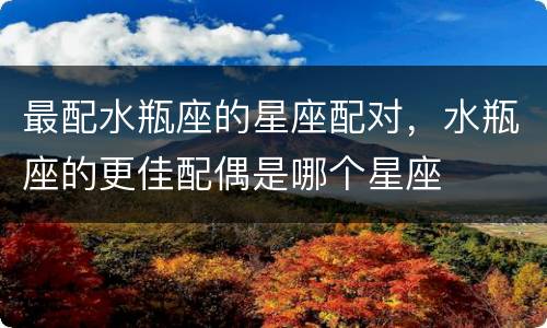 最配水瓶座的星座配对，水瓶座的更佳配偶是哪个星座