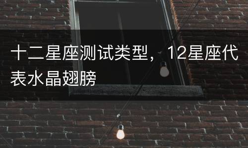 十二星座测试类型，12星座代表水晶翅膀