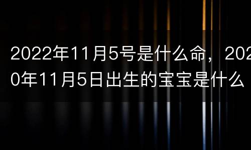 2022年11月5号是什么命，2020年11月5日出生的宝宝是什么命