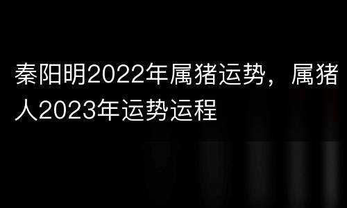 秦阳明2022年属猪运势，属猪人2023年运势运程