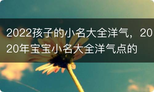 2022孩子的小名大全洋气，2020年宝宝小名大全洋气点的