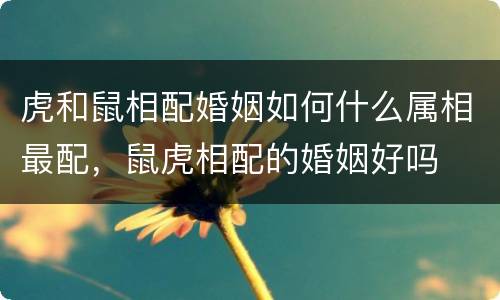 虎和鼠相配婚姻如何什么属相最配，鼠虎相配的婚姻好吗