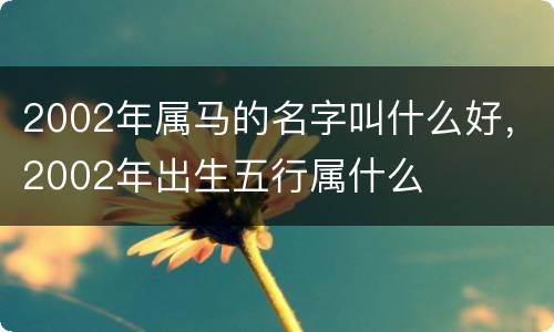 2002年属马的名字叫什么好，2002年出生五行属什么