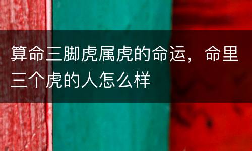 算命三脚虎属虎的命运，命里三个虎的人怎么样
