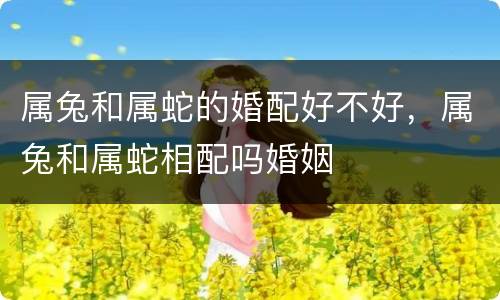 属兔和属蛇的婚配好不好，属兔和属蛇相配吗婚姻