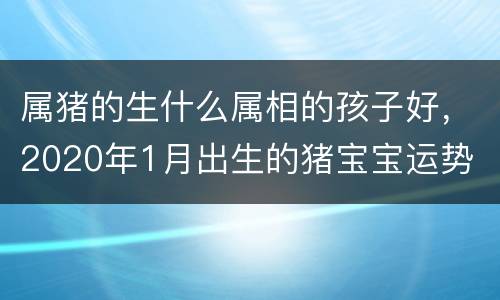 属猪的生什么属相的孩子好，2020年1月出生的猪宝宝运势 2