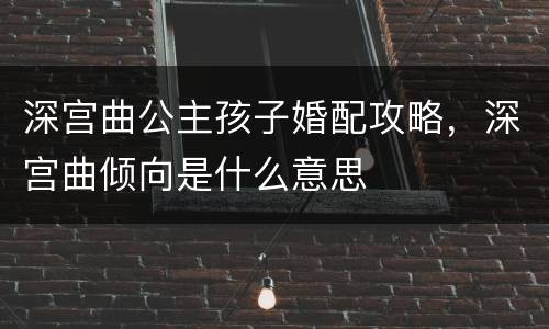 深宫曲公主孩子婚配攻略，深宫曲倾向是什么意思